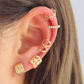 5 Pcs Earclip Earrings