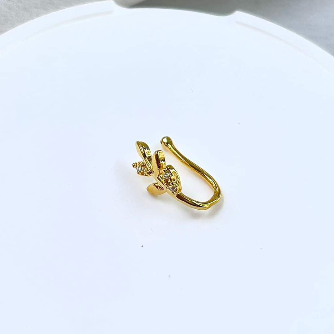 Fake Leaf Nose Pin