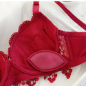 Lace Heart Embroidered Double Padded 
Push Up Bridal Bra & Panty Set