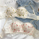 Blossom Orchard Set-9