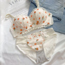 Blossom Orchard Set-1