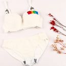 FAUX FUR ELEGANT BRA SET-3